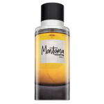 Montana Montana Collection Edition 1 EDP U 100 ml Eau De Parfum 100ml kvepalai Vyrams