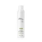 Paul Mitchell Style Extend 300 ml