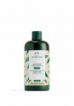 The Body Shop Anti-dandruff conditioner Ginger (Conditioner) 400ml plaukų priemonė Moterims