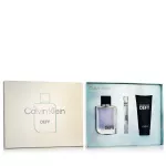 Calvin Klein Defy Eau De Toilette 100 ml Set