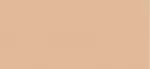 Dolce & gabbana Corrector Everlast Concealer