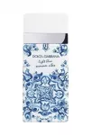 Dolce & gabbana Light Blue Summer Vibes Eau De Toilette 100 ml Tester