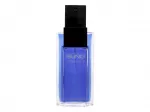 Alfred Sung Sung Homme Eau De Toilette 100 ml
