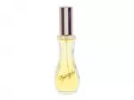 Giorgio Beverly Hills Giorgio Eau De Toilette 50 ml