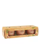 Yankee Candle Tropical Breeze