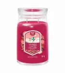 Yankee Candle Santa On Skis Kvepianti žvakė 567 ml