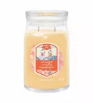 Yankee Candle Slopeside Spritz Kvepianti žvakė 567 ml