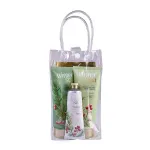 Accentra Winter Spa Set - D&aacute;rkov&aacute; sada koupelov&eacute; p&eacute;če v průhledn&eacute; ta&scaron;tičce