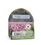 Yankee Candle Wild Orchid 22 ml