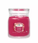 Yankee Candle Santa On Skis Kvepianti žvakė 368 ml