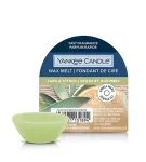 Yankee Candle Sage & Citrus 22 ml