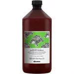 Davines Natural Tech Renewing Shampoo 100 ml