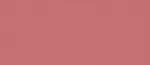 Clarins Hydrating Lipstick Joli Rouge 3.5 g - 731 Rose Berry 3.5 ml