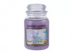 Yankee Candle Sweet Nothings 623 ml