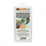 Yankee Candle Scented wax Sweet Orange Blossom Wax Melts