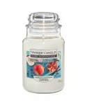 Yankee Candle Pomegranate Coconut