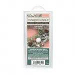 Yankee Candle Scented wax Winter Fir Wax Melts