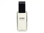 Antonio Puig Quorum Silver Eau De Toilette 100 ml