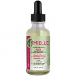 Mielle Toothpaste For Bleeding Gums