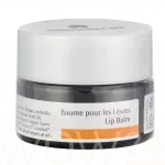 Dr.hauschka Lip Balm 4.5 ml