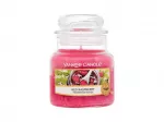 Yankee Candle Red Raspberry 104 ml