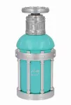 Emir Reham Wild Mineral Eau De Parfum 100 ml