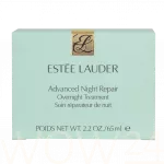 Estee Lauder E. Lauder Advanced Night Repair Overnight Treatment 65 ml