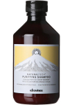 Valomasis &scaron;ampūnas nuo pleiskanų PURIFYING 250 ml