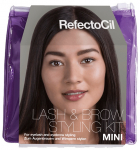 Antakių ir blakstienų dažymo rinkinys Mini Lash & Brow Styling Kit