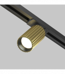 &Scaron;viestuvas bėgeliui CALIPSO 1F Brass TR218-1-GU10-BS