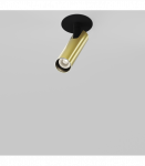 6W LED Įmontuojamas &scaron;viestuvas FOCUS T Brass C141RS-L125-6W3K-BBS