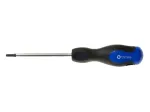 Torx atsuktuvas T20 &times; 100 mm GEKO G32024