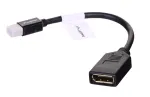 Lanberg AD-0003-BK DisplayPort kabelis 0,12 m Mini DisplayPort juodas