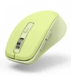 WM-450 wireless mouse green