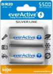 Įkraunamos baterijos &bdquo;everActive R20/D Ni-MH 5500 mAh&ldquo;, paruo&scaron;tos naudoti