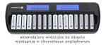 Įkroviklis everActive NC-1600