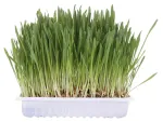 TRIXIE 4235 skanėstas &scaron;unims / katėms 100 g