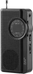 Ne&scaron;iojamasis JVC radijo imtuvas RA-E311B