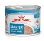 ROYAL CANIN Starter Mousse pa&scaron;aras motinai ir &scaron;uniukui - skardinė 195 g