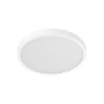Smart Ceiling Light D40