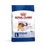 ROYAL CANIN Maxi Adult L - sausas &scaron;unų ėdalas - 4 kg