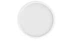 Smart Ceiling Light D20