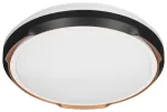 &bdquo;Activejet&ldquo; LED lubinis &scaron;viestuvas AJE-PETRUS 24W