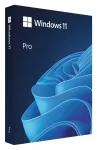 &bdquo;Microsoft Windows 11 Professional&ldquo; dėžutė, USB PL