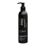 DR LUCY Black & Silver - shampoo for dark coat for dogs - 250 ml