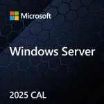 &bdquo;Microsoft Windows Server&ldquo; CAL 2025 kliento prieigos licencija (CAL) 1 licencija(-os)