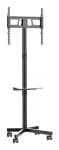TV SET ACC FLOOR STAND 32-55"/TVS-55T-03 GEMBIRD
