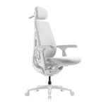 Dynamic Ergonomic Chair LiberNovo Maxis Glacier Co