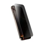 Tempered privcy glass iPhone 16 Pro Max