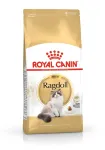 Royal Canin FBN Ragdoll sausas kačių ėdalas suaugusioms katėms 2 kg